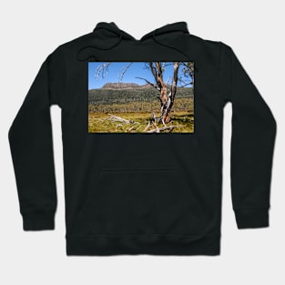 Mt Olympus 1 Hoodie